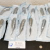 Dental Instrumente im Set Restposten 6425