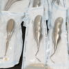 Dental Instrumente im Set Restposten 6425 – Bild 5