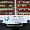 SR-Orthopan und Vitapan Zähne im Set 6563 – Bild 2