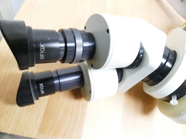 Stereo-Mikroskop mit Gelenkarm 10X mit Licht 8255 – Bild 6