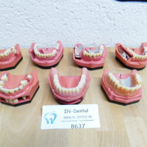 Go Dent Set hochwertige Schaumodelle 1 bis 7 - 8637