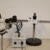 Euromex Schwenkarm Mikroskop Stereo mit Kaltlichtquelle 3194
