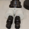 Euromex Schwenkarm Mikroskop Stereo mit Kaltlichtquelle 3194 – Bild 6